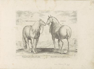 Hengst en merrie uit Roma Roman Matronal Horse (tittel på objekt) Paardenrassen uit de Koninklijke stallen van Don Juan van Oostenrijk (serietittel) Hesten, der alle slags adelsmenn: oppførselen til hester valgt fra forskjellige deler av verden skilles ut  av Anonymous