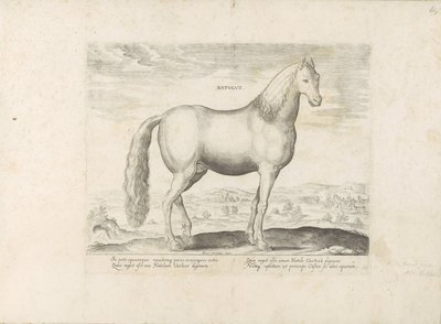 Hengst uit Anatolië Born (tittel på objekt) Paardenrassen uit de Koninklijke stallen van Don Juan van Oostenrijk (serietittel) Hesten, der alle slags adelsmenn: oppførselen til hester skilt fra ulike deler av verden valgt (...) (serietittel på o av Anonymous