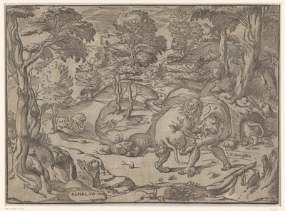 Hercules og Nemean Lion av Anonymous