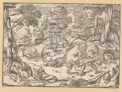 Hercules og Nemean Lion av Anonymous