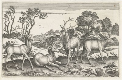 hjort Firebeinte dyr (serietittel) Animalivm Qvaddrvpedvm (serietittel) av Anonymous