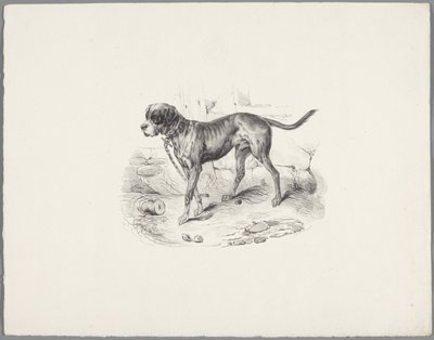Hund på lenke Seks smådyrstudier (serietittel) Seks små beiststudier (serietittel på objekt) av Anonymous