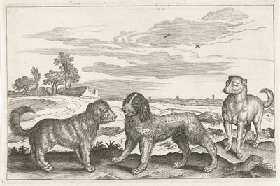 hunder Firebeinte dyr (serietittel) Animalivm Qvaddrvpedvm (serietittel) av Anonymous