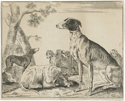 Kennel av Anonymous