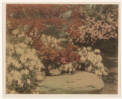 Japansk hage med blomster av Anonymous