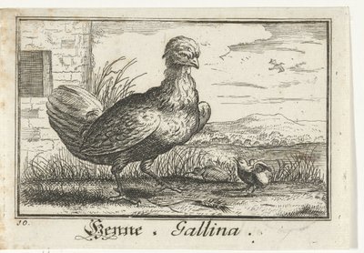 Kylling med kylling Henna, Gallina. (tittel på objekt) av Anonymous