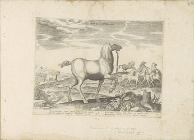 Kudde wilde paarden Hesteveddeløp for barn (tittel på objekt) Paardenrassen uit de Koninklijke stallen van Don Juan van Oostenrijk (serietittel) En hest, der alle slags adelsmenn: valgt fra forskjellige deler av verden kjennetegnet ved oppførselen til hest av Anonymous
