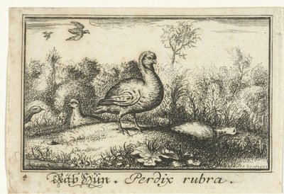 Landskap med rapphøns Rab Hun, Perdix rubra. (tittel på objekt) av Anonymous