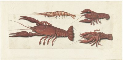 Langoustine, to kreps og reker Lombard-album (serietittel) av Anonymous