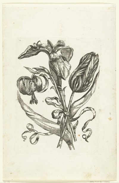 Lelie, iris og tulipan Nye blomsterikoner (serietittel) av Anonymous
