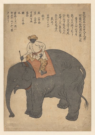 Elefant brakt av et nederlandsk skip i 1813 av Anonymous