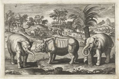 Elefanter og neshorn Firebeinte dyr (serietittel) Animalivm Qvaddrvpedvm (serietittel) av Anonymous
