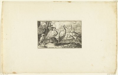 Stork mellom to andre fugler Volatilium varii generis (...) (serietittel) av Anonymous