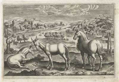 Hest og esler Firebeinte dyr (serietittel) Animalivm Qvaddrvpedvm (serietittel) av Anonymous