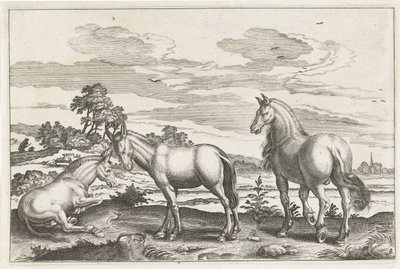 Hest og esler Firebeinte dyr (serietittel) Animalivm Qvaddrvpedvm (serietittel) av Anonymous