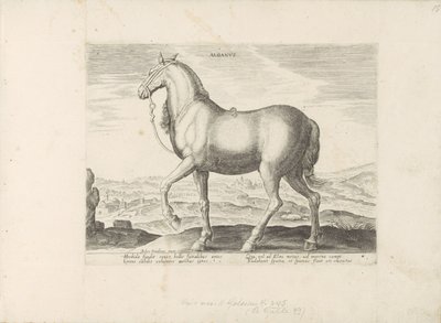 Paard uit Albanië Albanus (tittel på objekt) Paardenrassen uit de Koninklijke stallen van Don Juan van Oostenrijk (serietittel) Hesten, der alle slags adelsmenn: oppførselen til hester skilt fra forskjellige deler av verden valgt (...) (serietittel på obj av Anonymous