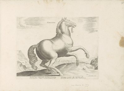 Paard ut Frankrike Fransk (tittel på objekt) Paardenrassen uit de Koninklijke stallen van Don Juan van Oostenrijk (serietittel) Hesten, der alle slags adelsmenn: oppførselen til hester skilt fra ulike deler av verden valgt (...) (serietittel på av Anonymous