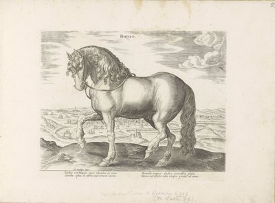 Paard uit Friesland Phryso (tittel på objekt) Paardenrassen uit de Koninklijke stallen van Don Juan van Oostenrijk (serietittel) Hesten, der alle slags adelsmenn: oppførselen til hester skilt fra forskjellige deler av verden valgt (...) (serietittel på ob av Anonymous
