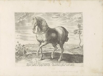 Paard uit Gelre Sicamber (tittel på objekt) Paardenrassen uit de Koninklijke stallen van Don Juan van Oostenrijk (serietittel) Hesten, der alle slags adelsmenn: oppførselen til hester skilt fra forskjellige deler av verden valgt (...) (serietittel på obje av Anonymous