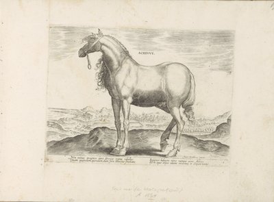 Paard fra Hellas Achivus (tittel på objekt) Paardenrassen uit de Koninklijke stallen van Don Juan van Oostenrijk (serietittel) Hesten, der alle slags adelsmenn: oppførselen til hester skilt fra ulike deler av verden valgt (...) (serietittel på av Anonymous