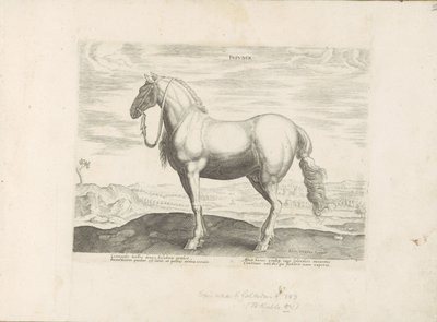 Paard ut Noord-Italia Insuber (tittel på objekt) Paardenrassen uit de Koninklijke stallen van Don Juan van Oostenrijk (serietittel) Hesten, der alle slags adelsmenn: oppførselen til hester skilt fra forskjellige deler av verden valgt (...) (serietittel o av Anonymous