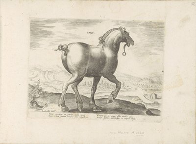Paard uit Saksen Saxo (tittel på objekt) Paardenrassen uit de Koninklijke stallen van Don Juan van Oostenrijk (serietittel) Hesten, der alle slags adelsmenn: oppførselen til hester skilt fra forskjellige deler av verden valgt (...) (serietittel på objekt) av Anonymous
