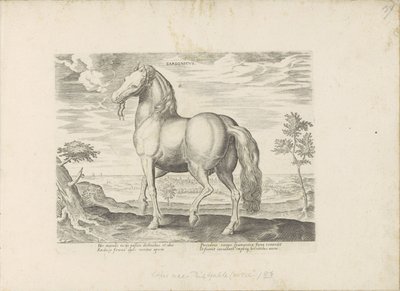 Paard uit Sardinië Sardonicus (tittel på objekt) Paardenrassen uit de Koninklijke stallen van Don Juan van Oostenrijk (serietittel) Hesten, der hver rase er edel: oppførselen til hester valgt fra forskjellige deler av verden (...) ( serietittel på av Anonymous