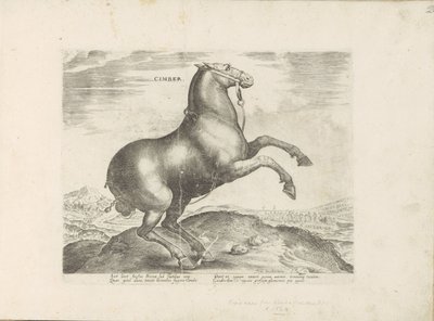 Paard ut Scythia Cimber (tittel på objekt) Paardenrassen uit de Koninklijke stallen van Don Juan van Oostenrijk (serietittel) Hesten, der alle slags adelsmenn: oppførselen til hester skilt fra forskjellige deler av verden valgt (...) (serietittel på obje av Anonymous