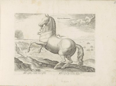 Paard ut Spania Spansk hest (tittel på objekt) Paardenrassen uit de Koninklijke stallen van Don Juan van Oostenrijk (serietittel) Hesten, der alle slags adelsmenn: oppførselen til hester skilt fra forskjellige deler av verden valgt (...) (serietittel av Anonymous