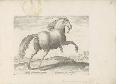 Paard ut Spania Spansk (tittel på objekt) Paardenrassen uit de Koninklijke stallen van Don Juan van Oostenrijk (serietittel) Hesten, der alle slags adelsmenn: oppførselen til hester skilt fra forskjellige deler av verden valgt (...) (serietittel på obj av Anonymous