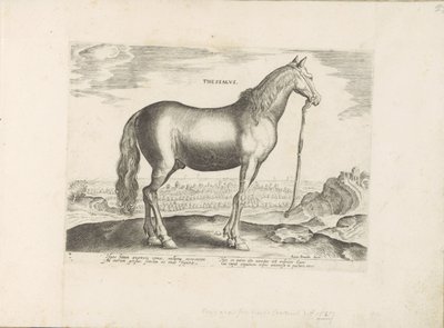 Paard uit Thessalië Thessalien (tittel på objekt) Paardenrassen uit de Koninklijke stallen van Don Juan van Oostenrijk (serietittel) Hesten, der alle slags adelsmenn: oppførselen til hester skilt fra ulike deler av verden valgt (...) (serietittel på av Anonymous