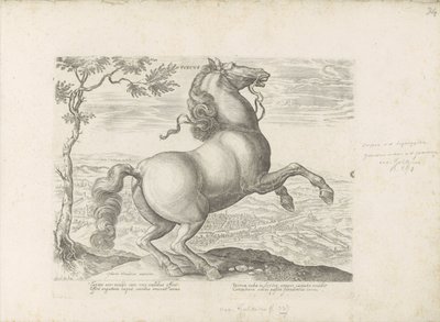 Paard uit Toscane Toscana (tittel på objekt) Hesten, der alle slags adelsmenn: oppførselen til hester skilt fra forskjellige deler av verden valgt (...) (serietittel på objekt) av Anonymous