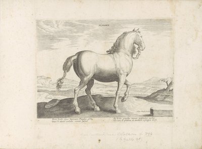 Paard uit Vlaanderen Flandern (tittel på objekt) Paardenrassen uit de Koninklijke stallen van Don Juan van Oostenrijk (serietittel) Hesten, der alle slags adelsmenn: oppførselen til hester skilt fra ulike deler av verden valgt (...) (serietittel på av Anonymous