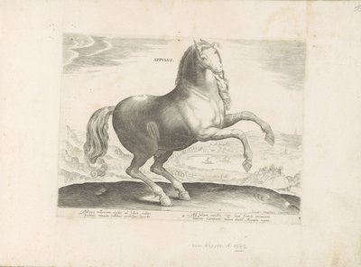 Paard ut Zuid-Italia Appulus (tittel på objekt) Paardenrassen uit de Koninklijke stallen van Don Juan van Oostenrijk (serietittel) Hesten, der alle slags adelsmenn: oppførselen til hester skilt fra ulike deler av verden valgt (...) (serietittel på av Anonymous
