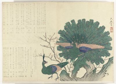 Peacock Album Shijo-surimono fra perioden 1840-1900 (serietittel) av Anonymous