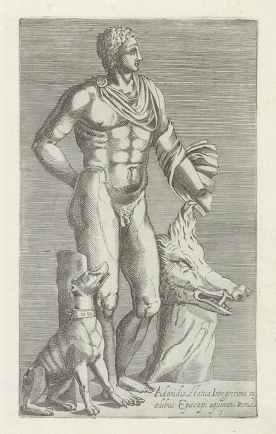 Skulptur av Adonis med jakthund og kopp av en evighet Den mest komplette statuen av Adonis i palasset til biskopen av Roma (tittel på objekt) Antikke skulpturer i Roma (serietittel) Et ikon av de gamle statuene av byen Roma som er sett på offentlige steder av Anonymous