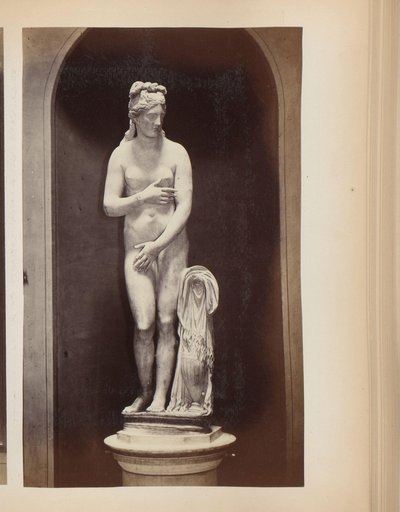 Skulptur av Venus i Capitoline-museene i Roma, Italia av Anonymous
