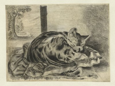 sovende katt av Anonymous