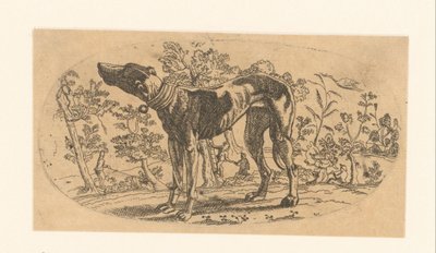 Stående hund foran et landskap av Anonymous