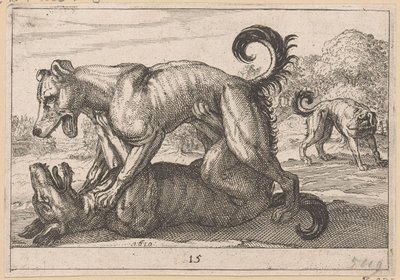 To parrings- og to kamphunder Fighting Animals (kopier) (serietittel) av Anonymous
