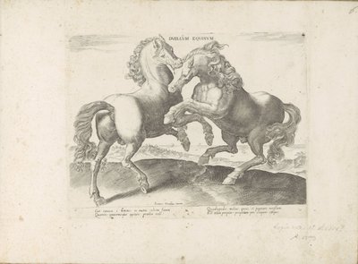 Twee vechtende paarden Hesteduell (tittel på objekt) Hesten, der alle slags adelsmenn: oppførselen til hester skilt fra forskjellige deler av verden valgt (...) (serietittel på objekt) av Anonymous