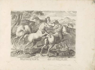 Vechtende paarden met een onder de fot gelopen paard Hesten, der alle slags adelsmenn: oppførselen til hester skilt fra forskjellige deler av verden valgt (...) (serietittel på objekt) av Anonymous