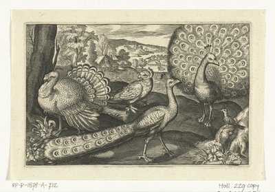 Fem fugler inkludert skjestork Fugler og insekter (serietittel) av Anonymous