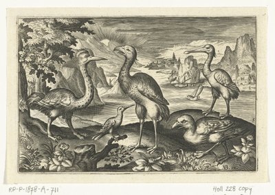 Fem fugler inkludert skjestork Fugler og insekter (serietittel) av Anonymous