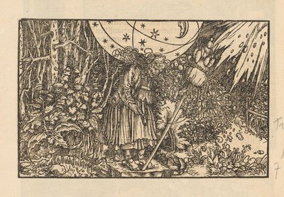 Kvinne med distaff i en skog og et himmelhvelv av Anonymous