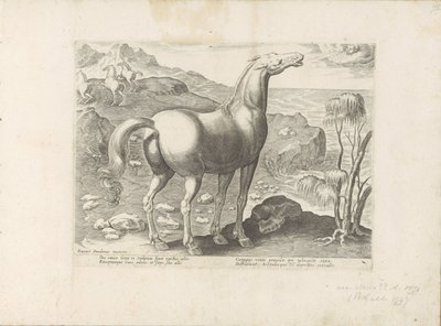 Zephyrus befrukter en glede Paardenrassen uit de Koninklijke stallen van Don Juan van Oostenrijk (serietittel) Hesten, der alle slags adelsmenn: oppførselen til hester skilt fra forskjellige deler av verden valgt (...) (serietittel på objekt) av Anonymous