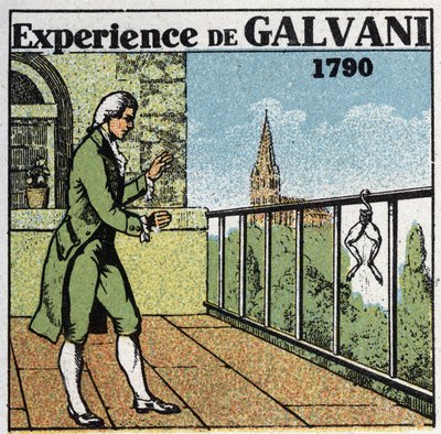 Batteries and accumulators: experience of Luigi Galvani (1737-1798) on electricite with frog thighs to see the effects on muscles, in 1790. Anonymous illustration from 1925. Private collection. av Anonymous Anonymous