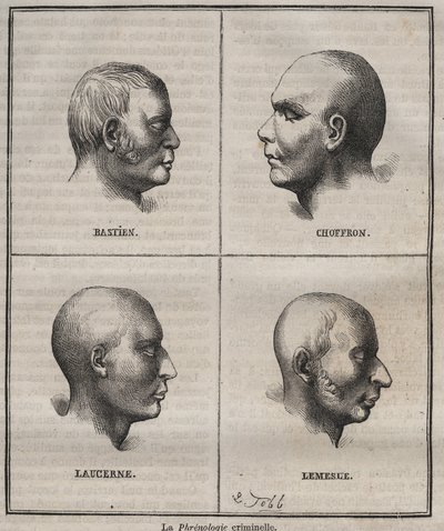 Criminal Phrenology in the Brest Bagne (portretter som skildrer de fysiognomiske egenskapene til forskjellige typer kriminelle). Gravering i "Historien om straffedømte fra deres skapelse til i dag"" (1877) av Pierre Zaccone (1817-1895) (Colonia Penale - Pe av Anonymous Anonymous