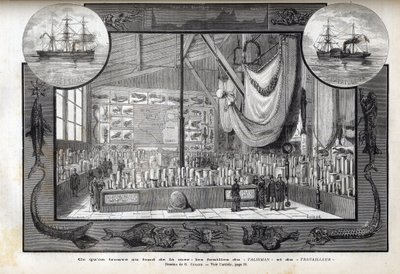 Exhibition at the Museum of Natural History of Paris of the collections formed during the cruises - Scientific expeditions of the Worker and the Talisman during the years 1880 av Anonymous Anonymous