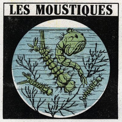 Light projection: use of a projection lantern to observe mosquito larvae. Anonymous illustration from 1925. Private collection. av Anonymous Anonymous